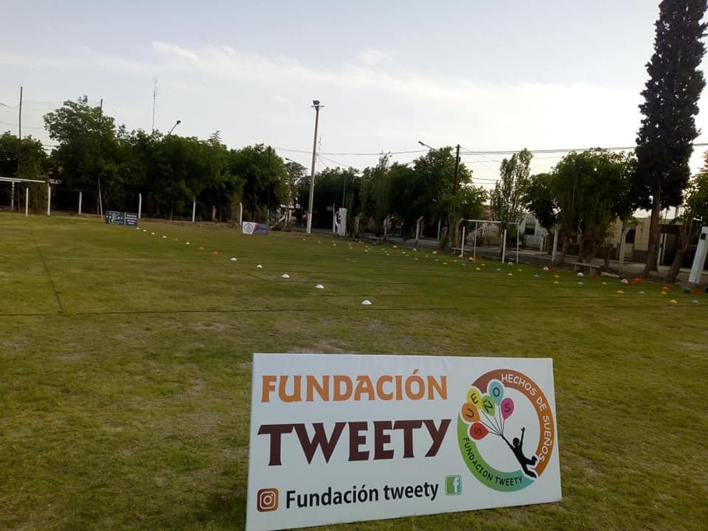 Fundación Tweety, San Juan