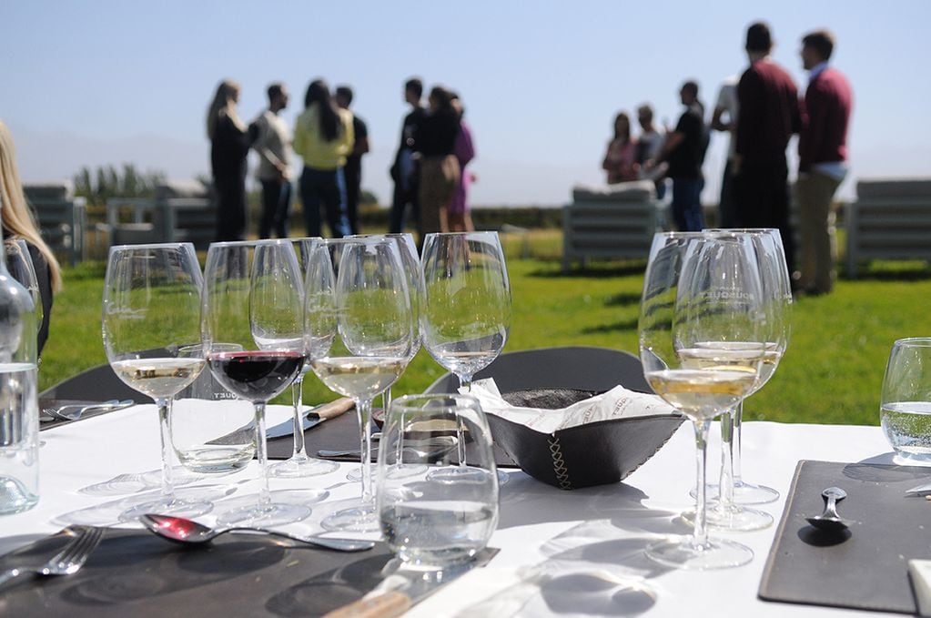 Un recorrido por los mejores viñedos y bodegas de la Argentina, para el Día del Vino. (Foto: Javier Ferreyra)