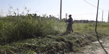 desmalezado y limpieza de lotes baldíos en Rafaela