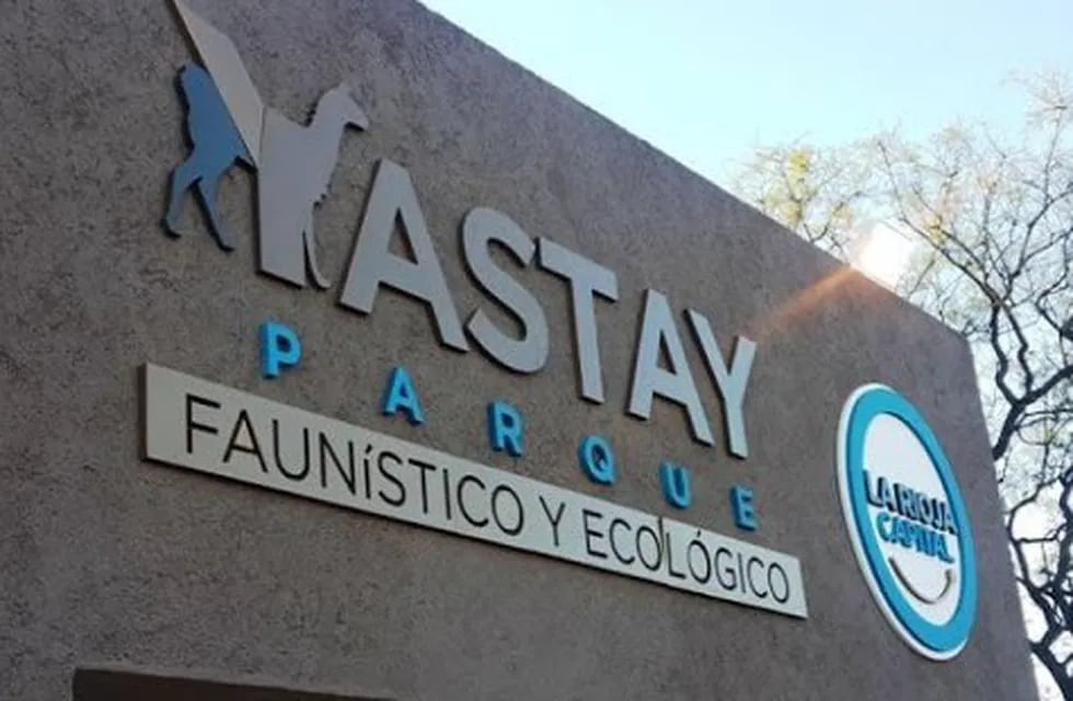 El Parque Yastay se unió al programa de recuperación del cóndor andino