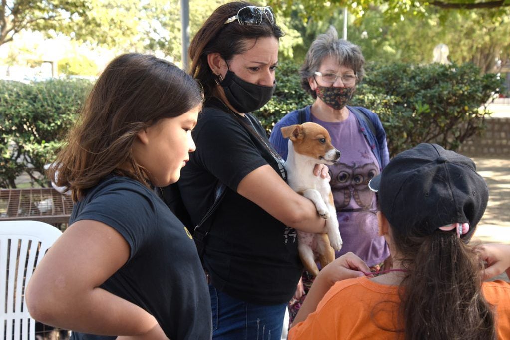 Adopción en Plaza 25 de Mayo de Arroyito por el Refugio Canino