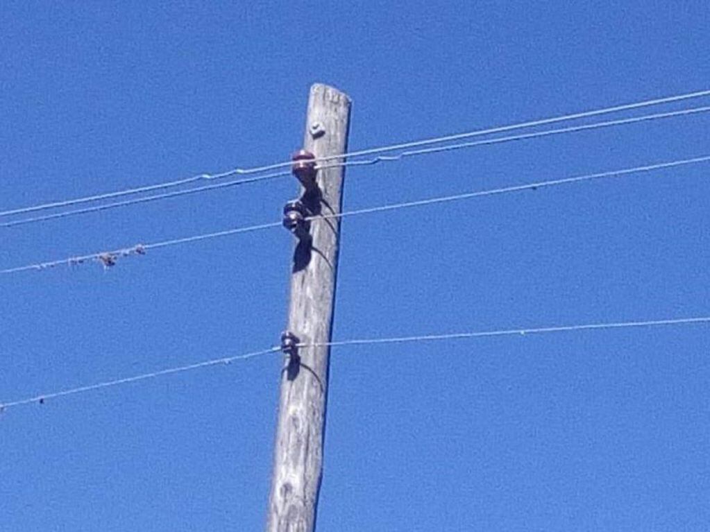 Se habría iniciado debido a un corto circuito en la línea baja de tensión.