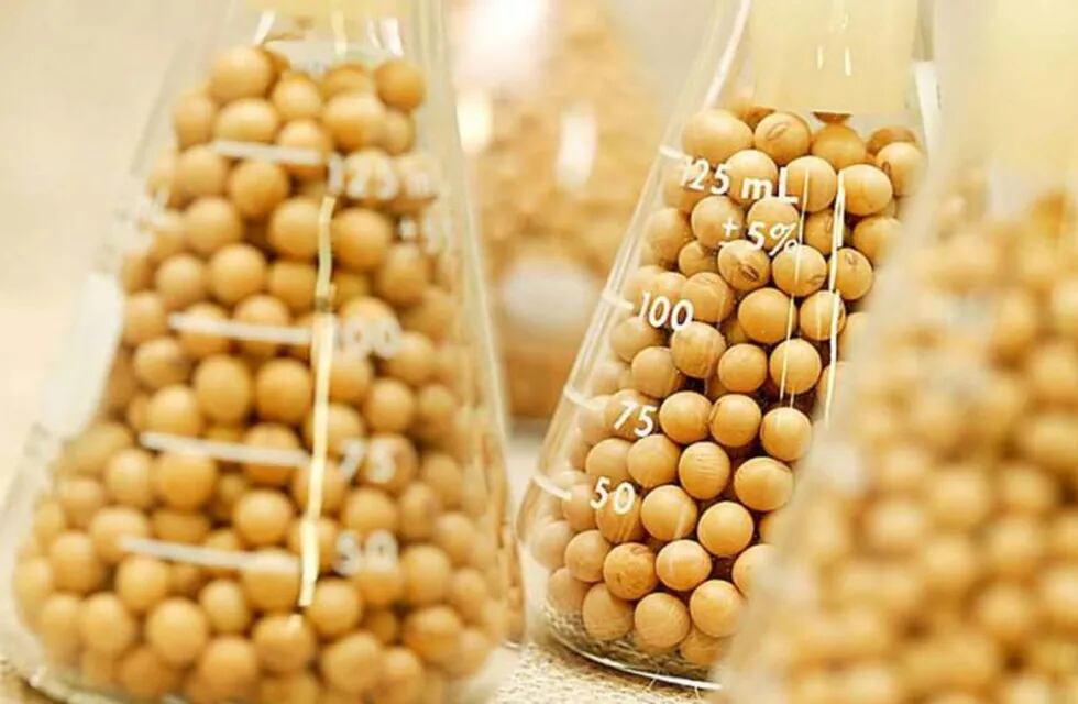 Laboratorio de cereales geneticamente modificados