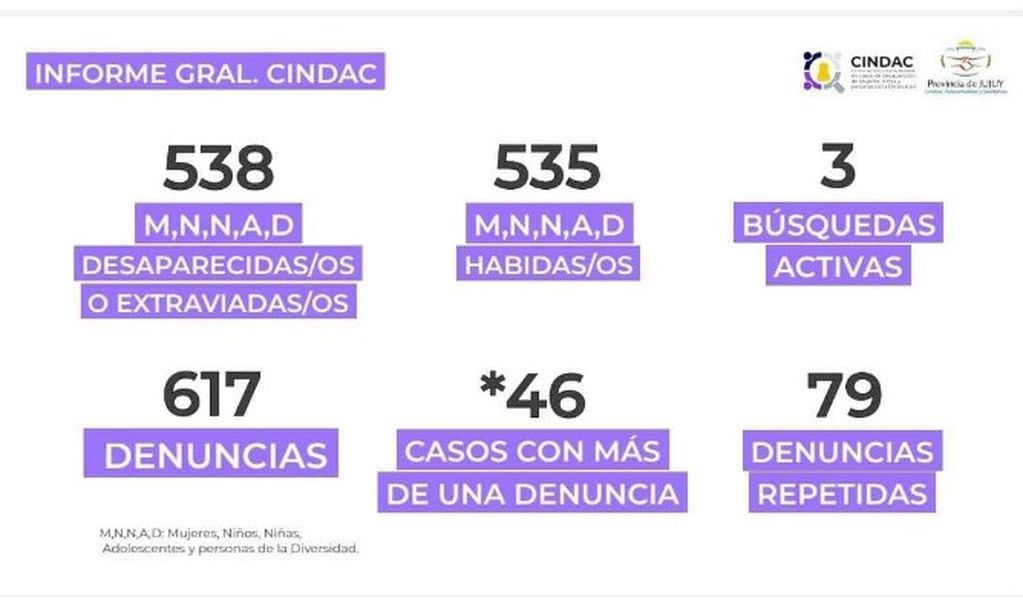Gráfico que resume lo actuado en los últimos quince meses por el el Comité Interinstitucional de Actuación en Casos de desaparición de Mujeres, Niñas y Personas de la Diversidad (CINDAC) de Jujuy.