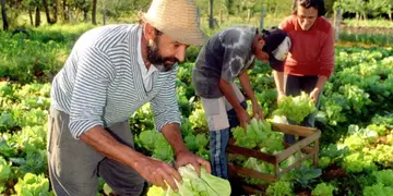 La provincia de Misiones formará parte de Consejo de la Agricultura Familiar