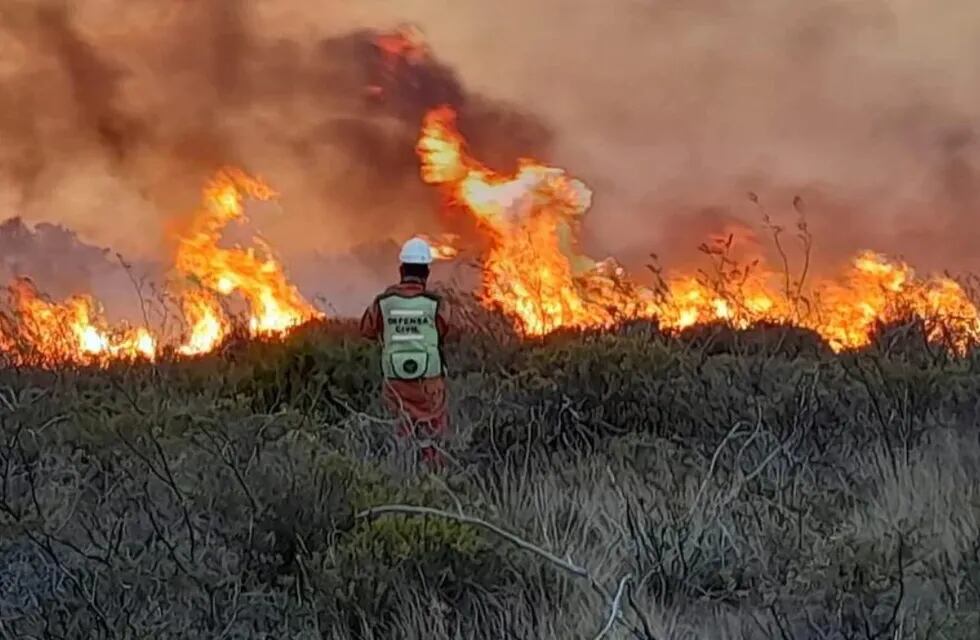 El fuego en Puerto Lobos se habría originado por un “asado mal apagado.