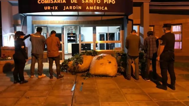 Frustran robo de hoja verde en Santo Pipó
