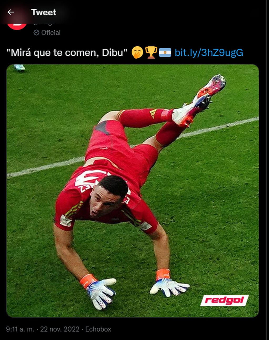 El polémico tuit contra el "Dibu" Martínez, arquero de la Selección Argentina.
