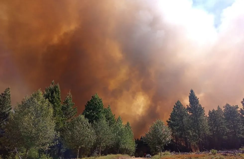 El incendio forestal en la zona de Aluminé no da tregua.