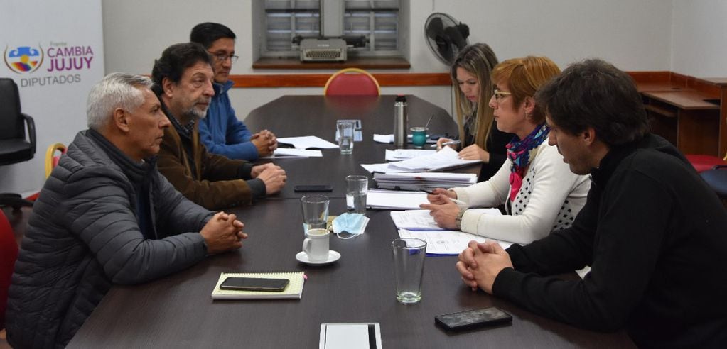 Miembros de la Comisión de Legislación Laboral de la Legislatura de Jujuy, reunidos en el salón "Presidente Raúl Alfonsín".