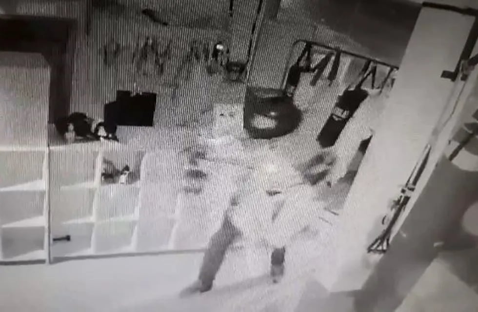 Dos delincuentes robaron un gimnasio de la capital (Foto: captura video)
