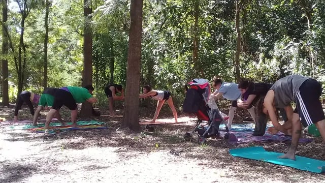 Yoga en el Bosquecito "Norberto Besaccia"