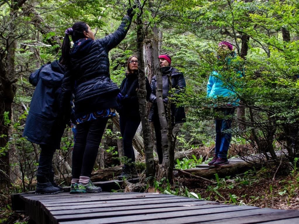 Ushuaia: continúan las visitas guiadas al Jardín Botánico del Cerro Bonete