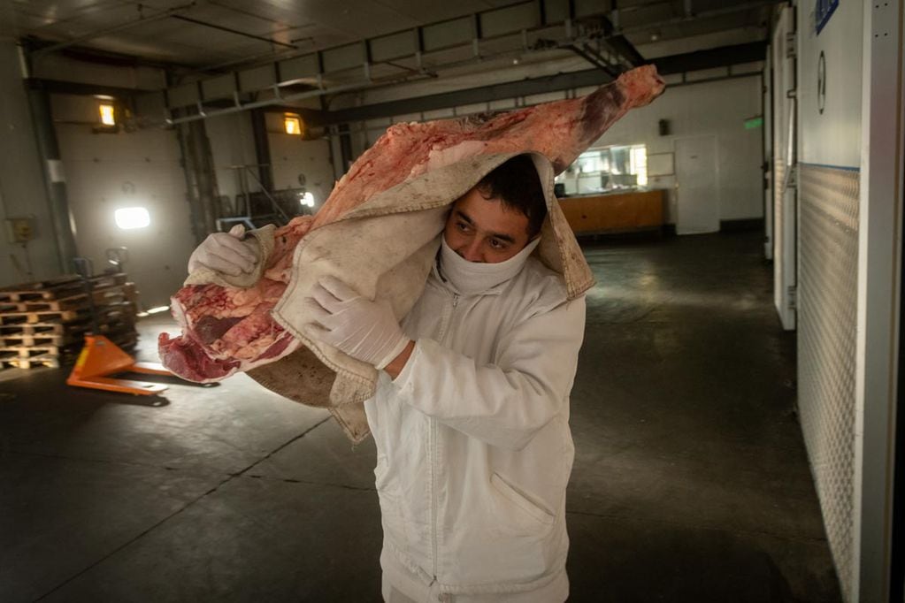 Exportación de carne. Foto: Ignacio Blanco / Los Andes