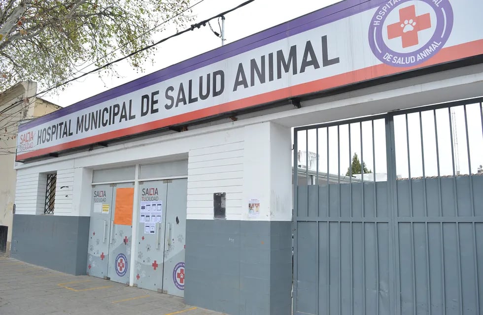 El Hospital de Salud Animal celebró la atención de su paciente 10.000
