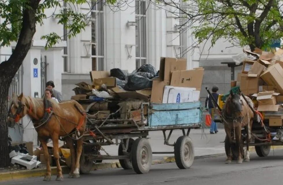 Se conocerá en pocos días la resolución de la consulta popular por la Tracción a sangre. (Web).