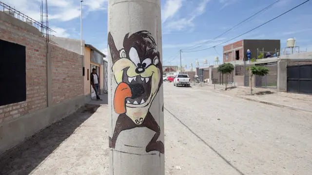 Una mujer de Neuquén busca convertir su barrio en un museo abierto de caricaturas