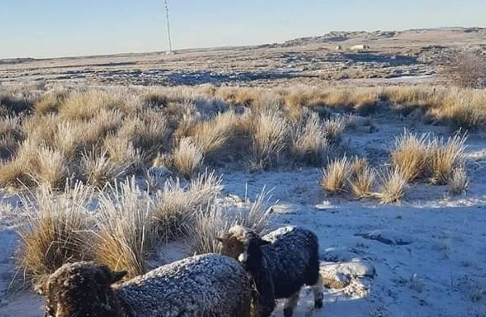 Segunda nevada del año en las Altas Cumbres