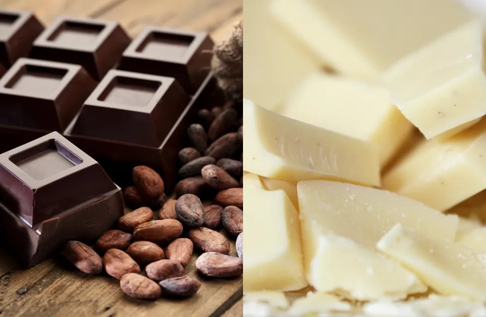 Diferencias entre chocolate negro y blanco.
