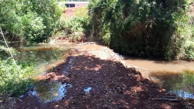 Denuncian peces muertos y contaminación en el arroyo Caraguatay