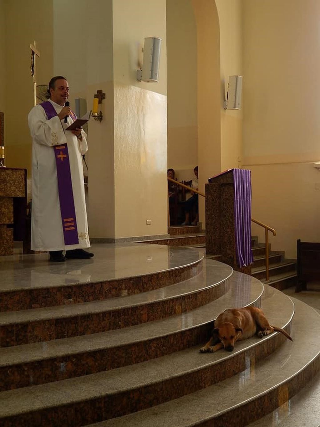 El párroco y su amor por los perros (Foto: Facebook/PadreJoao Paulo Araujo Gomes).