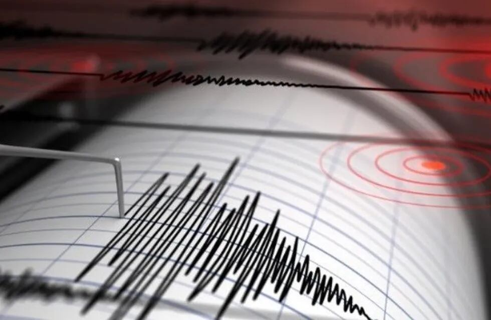 Un fuerte sismo que se produjo en Chile se sintió en Mendoza.