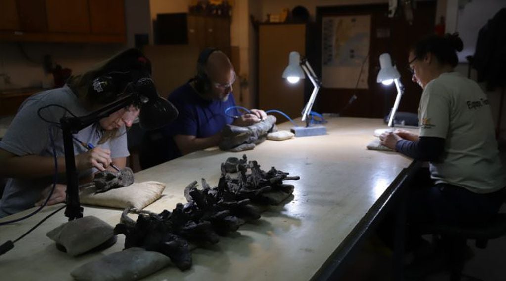 paleontólogos del Conicet descubren nueva especie de dinosaurio carnívoro en Chubut (foto: Conicet)