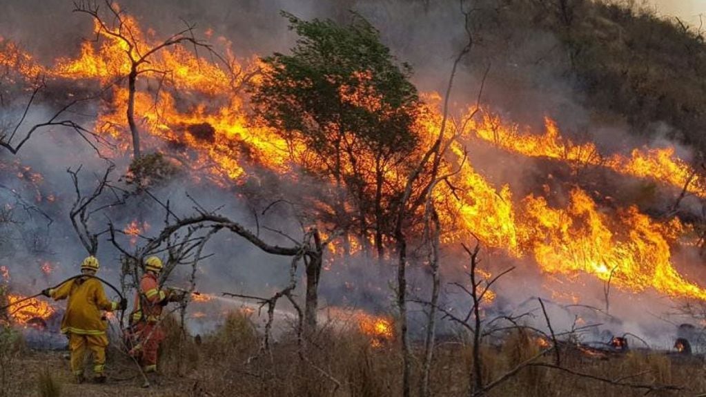 Los incendios forestales son fuegos descontrolados de rápida propagación que afectan a bosques, llanuras, pastizales y pasturas.