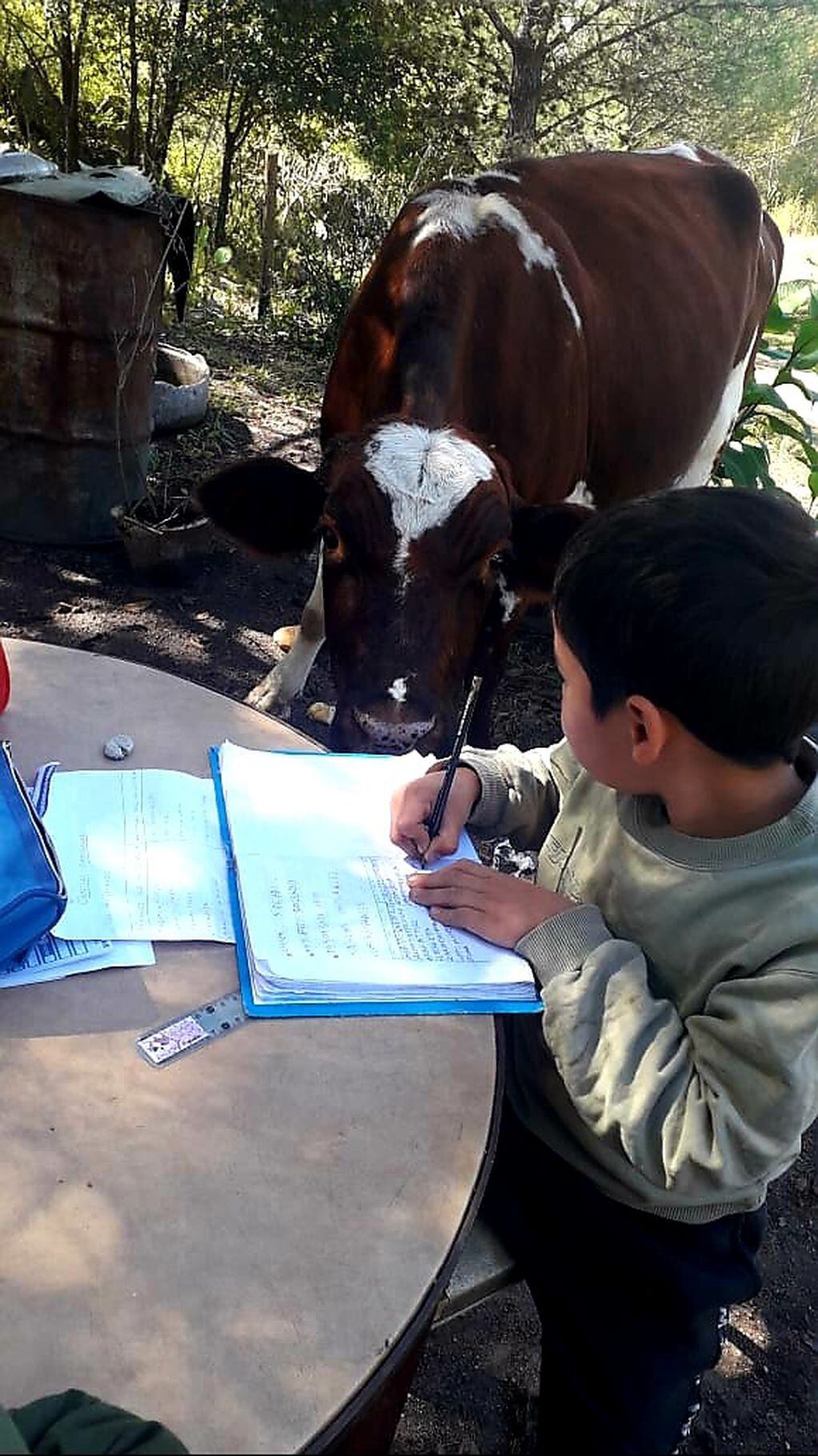 Un alumno de una zona rural de Punilla, estudiando en casa.