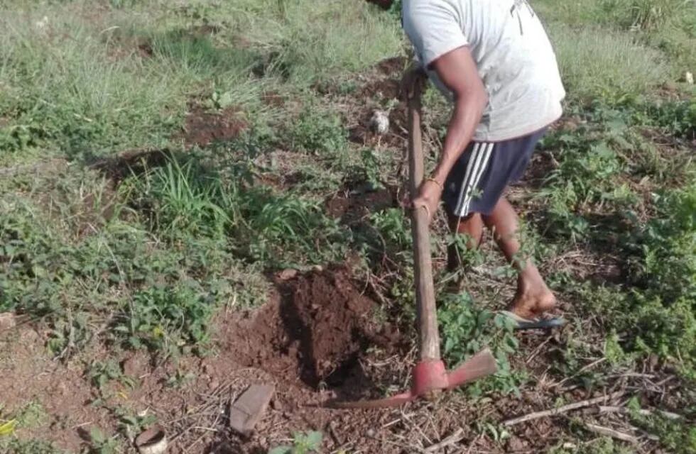 Una comunidad Mbyá solicita herramientas para sostener sus plantaciones