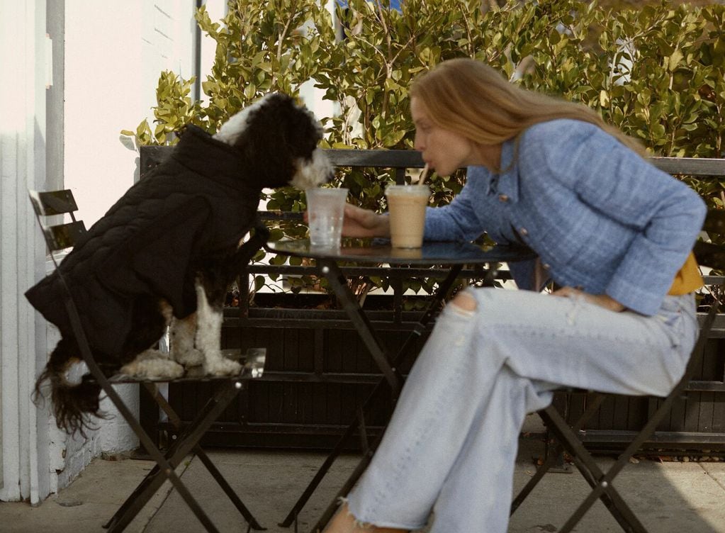 El perro se considera "el mejor amigo del hombre". (Foto: Zara España Web)