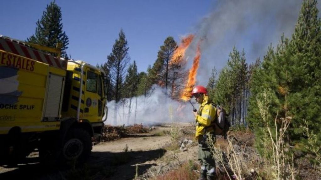 Incendios forestales en Bariloche (web).