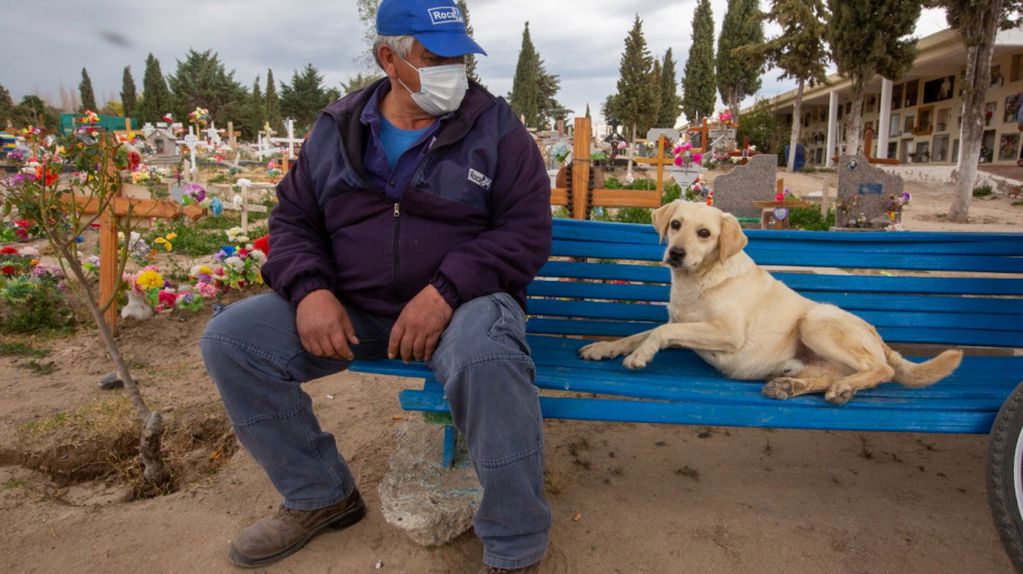 Bobby, el perro que alivia el dolor en el cementerio de Roca