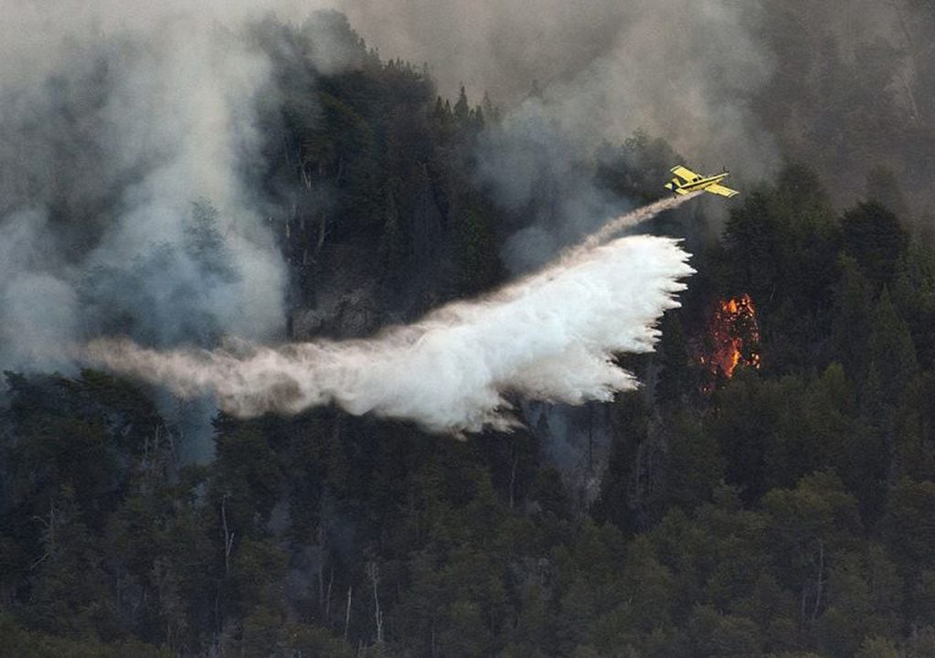 Imagen del incendio del año  2015, en el Parque Nacional Los Alerces que acabó con cerca de 1.200 hectáreas . Foto: Roberto Campos