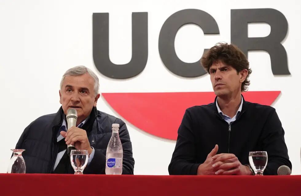 La UCR decidió no apoyar ningún candidato en el balotaje e hicieron duras críticas a Patricia Bullrich y a Macri. (Clarín)