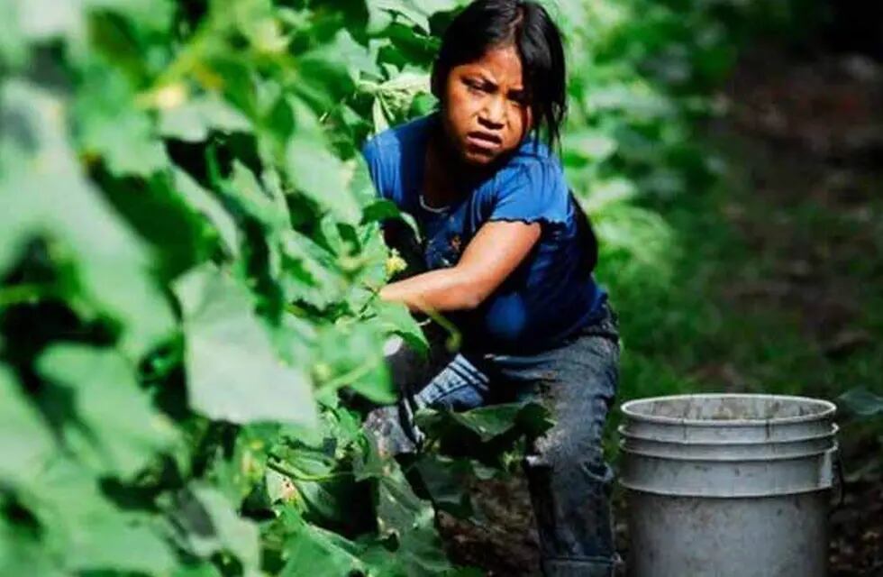 12 de Junio: Dia Mundial contra el Trabajo Infantil