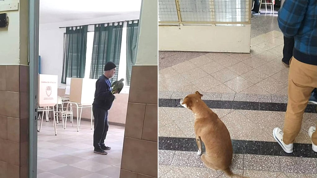 Un perro y un loro junto a sus dueños votando en las escuelas de Santa Fe.