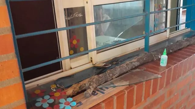 Eldorado: robaron y vandalizaron un establecimiento escolar