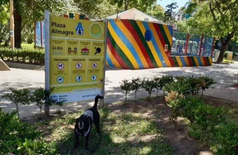 Vecinos denuncian que tiran pastillas para envenenar a los perros en una plaza de Almagro (Foto: Clarín)