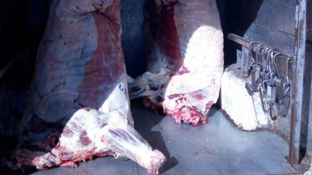 La carne vacuna robada era luego vendida en las carnicerías del jefe de la banda