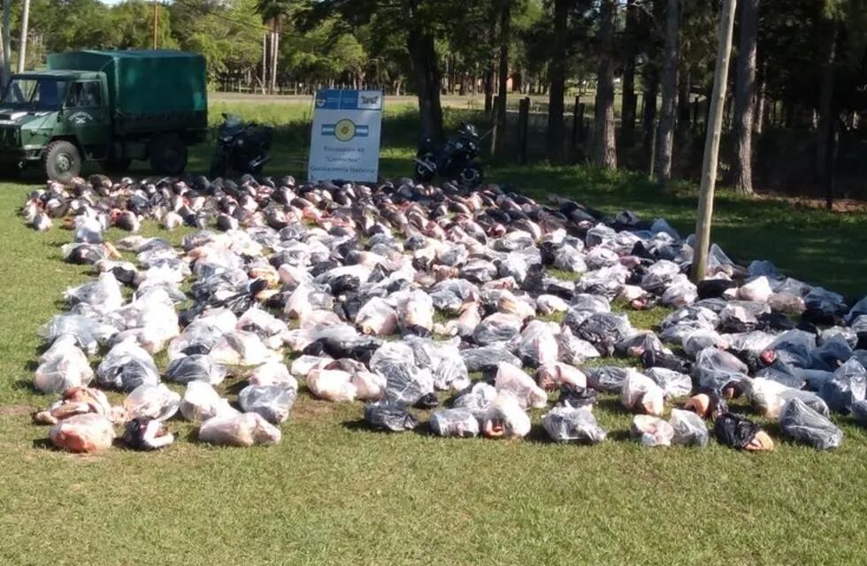 Secuestraron 6 mil kilos de surubí en Corrientes.