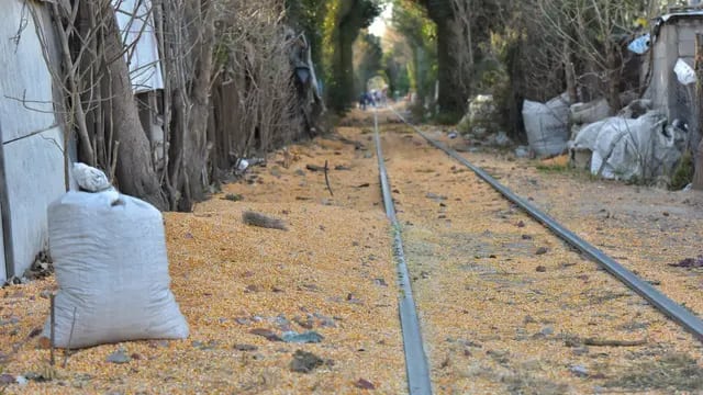 Robo de maíz a un tren que pasaba por barrio Remedios de Escalada, en Córdoba Capital (Facundo Luque/LaVoz).