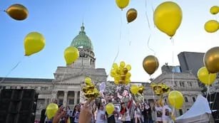 El Congreso aprobó la Ley de oncopediatría