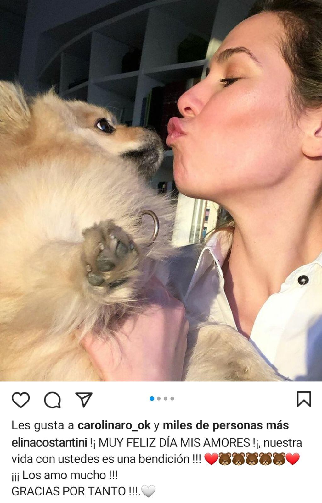Elina Fernández saludó en Instagram por el Día del Animal a Gino, Bory y Feliz Costantini.