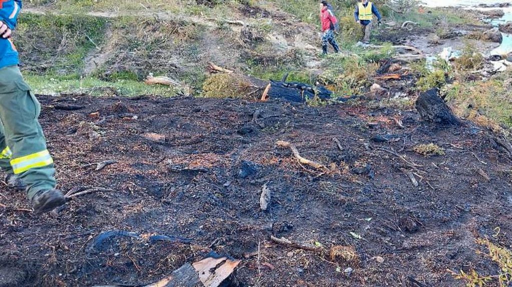 Tierra del Fuego: extinguieron el incendio forestal detectado en zona del lago Yehuin