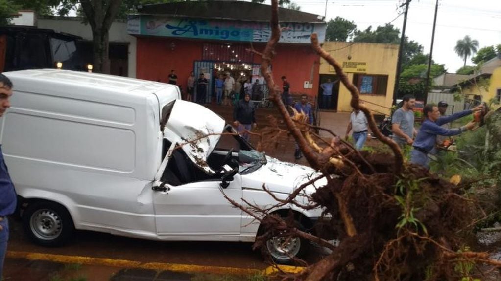 Por la tormenta un árbol cayó sobre un Fiat Fiorino en Apóstoles. No hubo heridos.