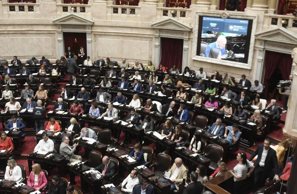 La Cámara de Diputados aprobó el "monotributo tech" (Federico López Claro / La Voz)