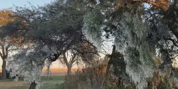 El frío en Córdoba