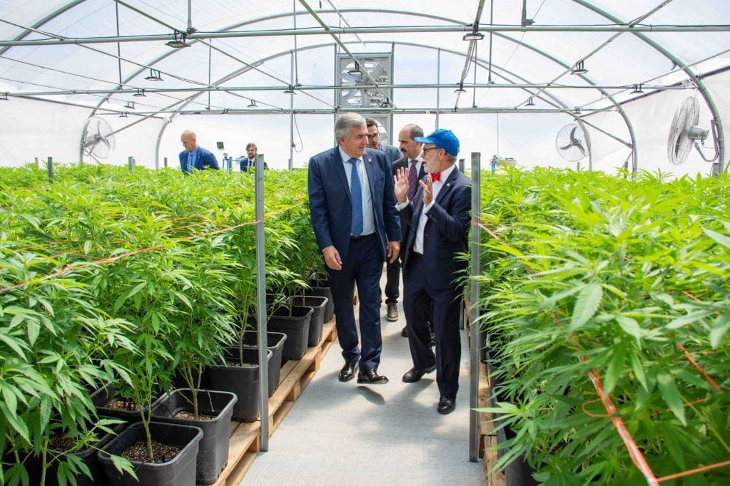 El embajador canadiense David Usher fue uno de los diplomáticos con asiento en el país que visitó este año el proyecto estatal de producción de derivados medicinales de cannabis que lleva adelante la sociedad estatal Cannava en la finca El Pongo.