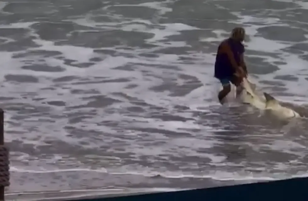 El hombre arrastra al tiburón de regreso al mar luego de haberlo golpeado brutalmente con un martillo en la cabeza.